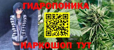 спиды Донской