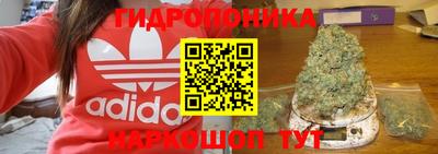 гидра Дубна
