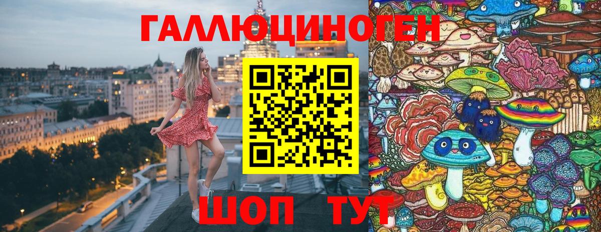 Нижний Новгород  Галлюциногенные грибы Psilocybine cubensis  Вход с VPN 
