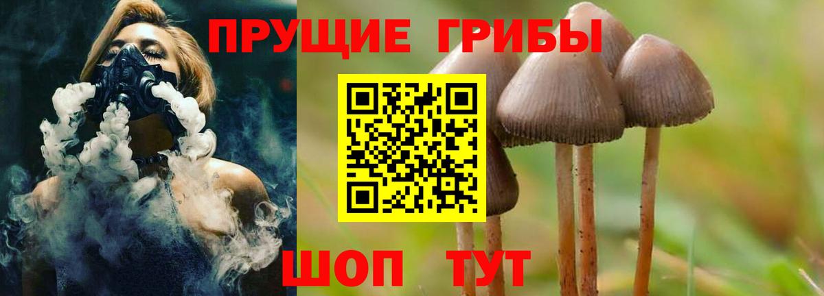 Псилоцибиновые грибы мухоморы Нижний Новгород